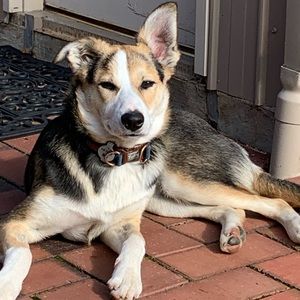 Meet your Posher, Deb